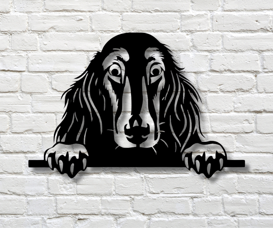 Afghan Hound Peeking Dog