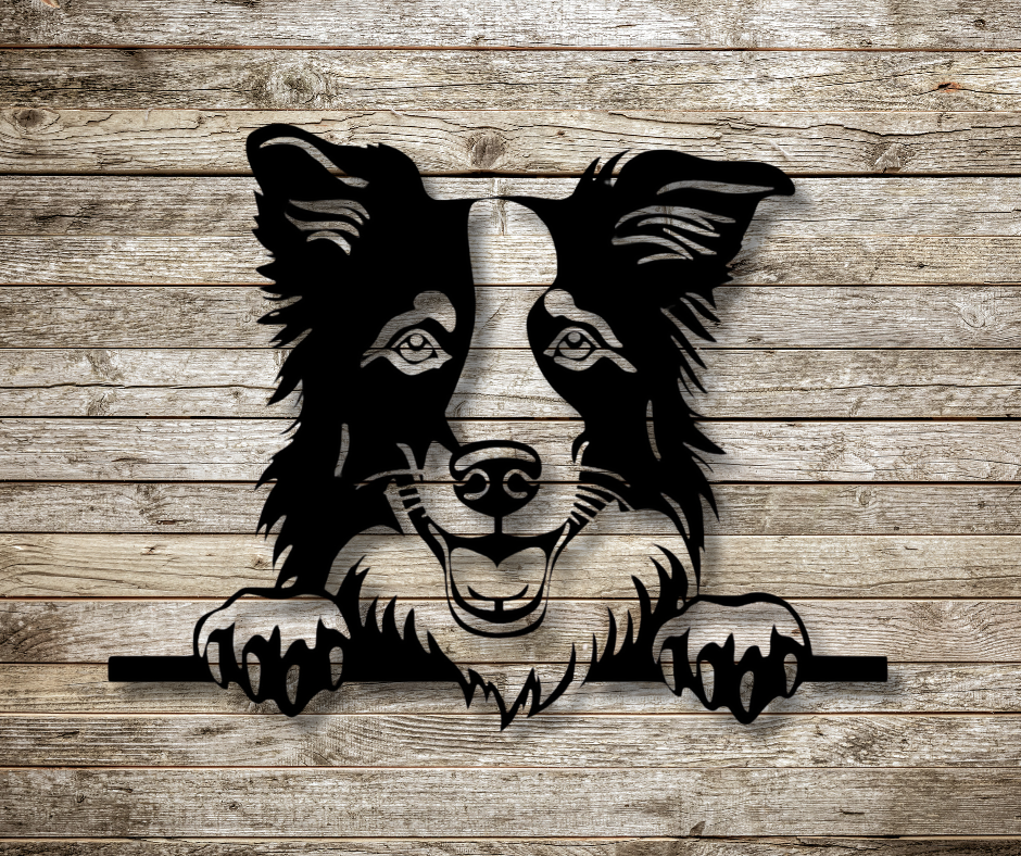 Border Collie Peeking Dog Sign