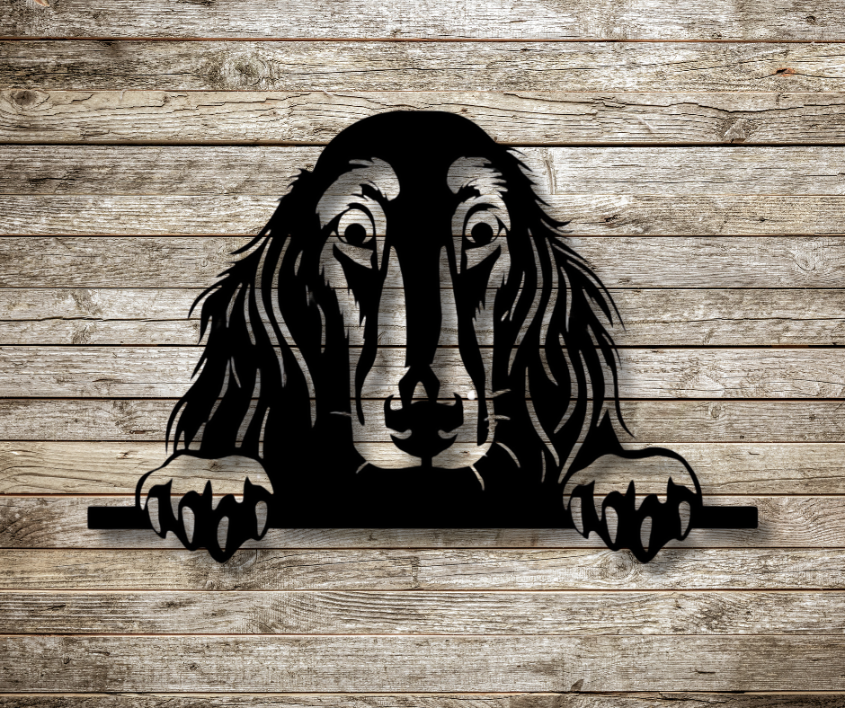 Afghan Hound Peeking Dog