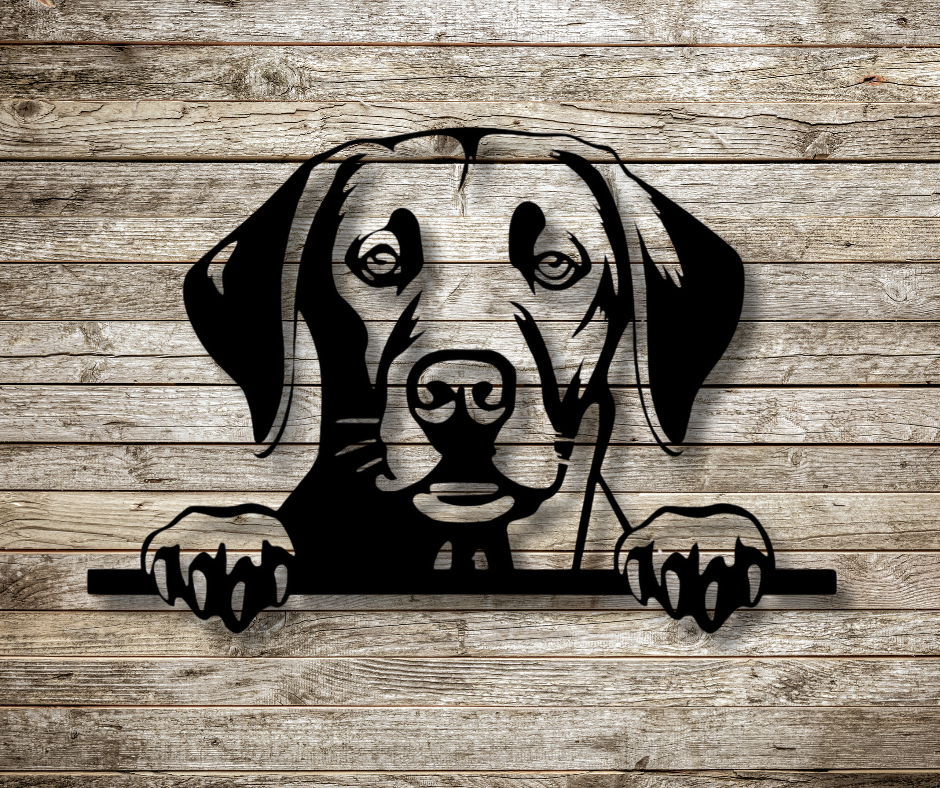 Labrador Retriever Peeking Dog Sign