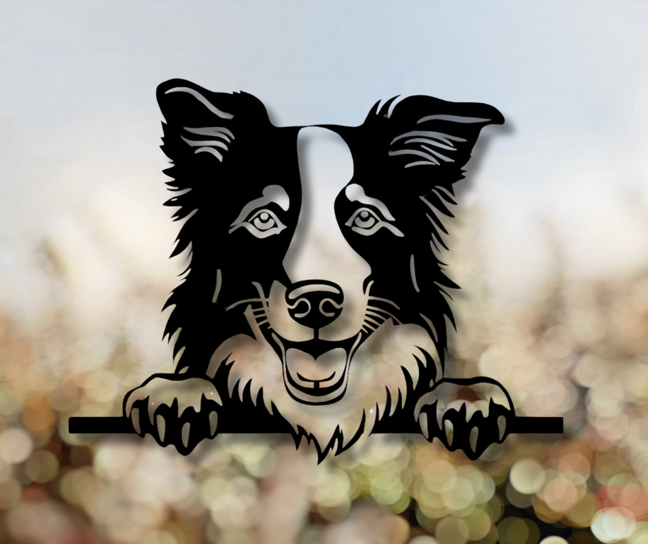 Border Collie Peeking Dog Sign