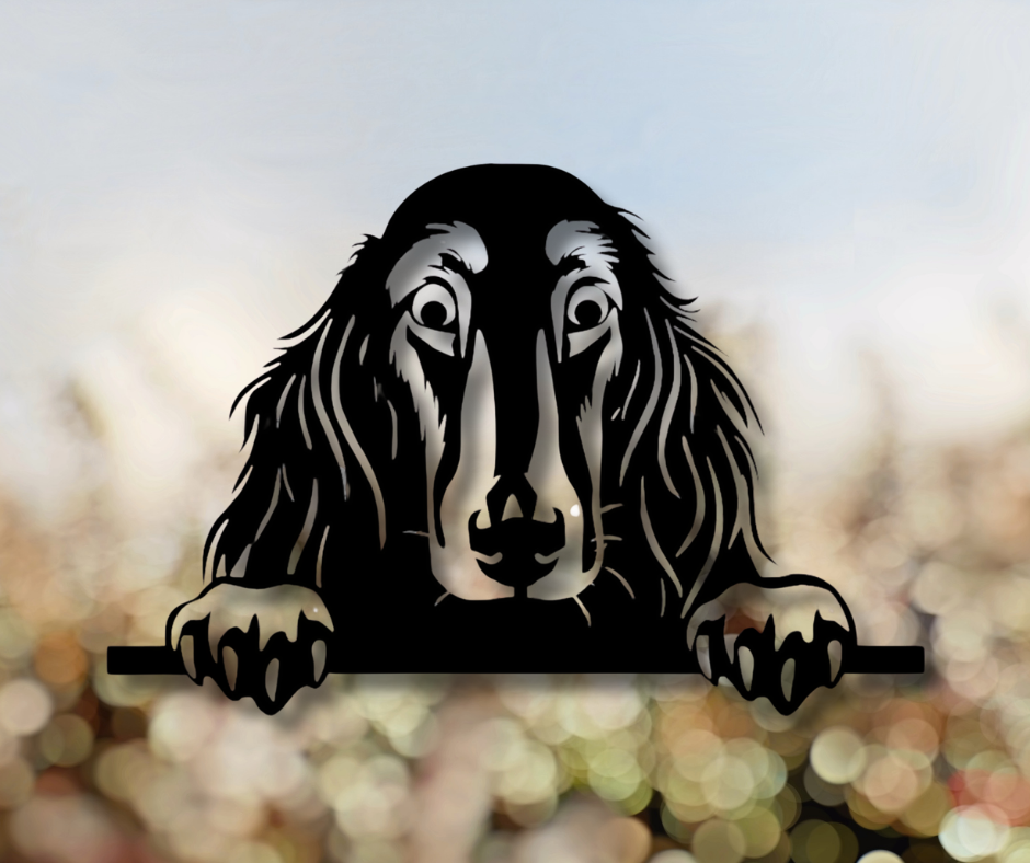 Afghan Hound Peeking Dog