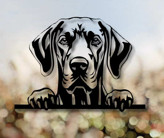 Great Dane Peeking Dog Sign
