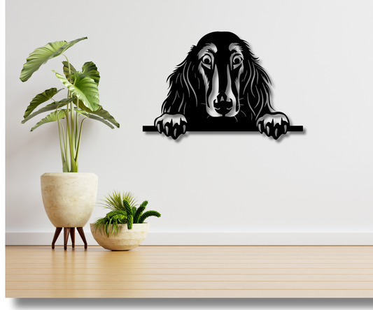 Afghan Hound Peeking Dog