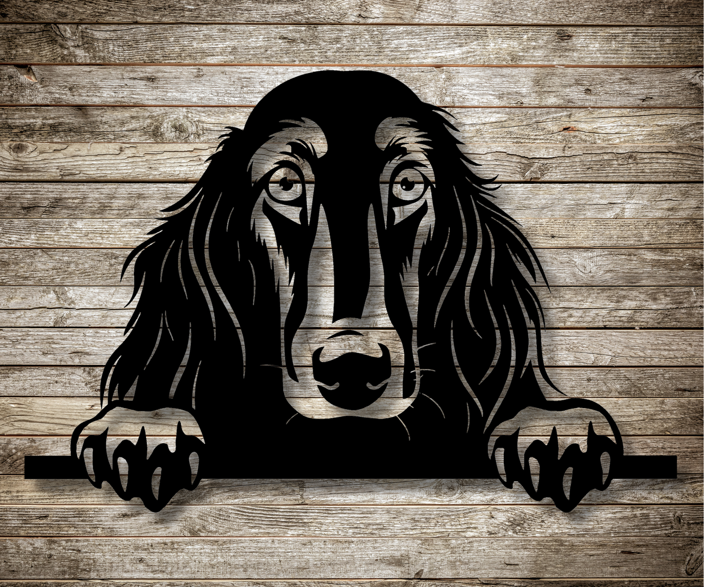 Afghan Hound Peeking Dog