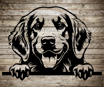 Golden Retriever Peeking Dog Sign