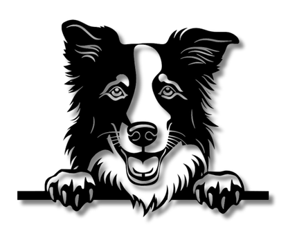 Border Collie Peeking Dog Sign