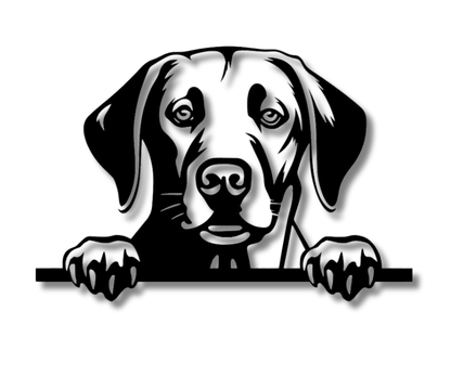 Labrador Retriever Peeking Dog Sign