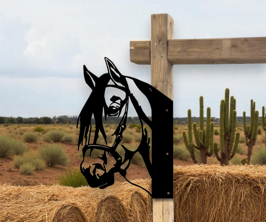 Peeking Horse